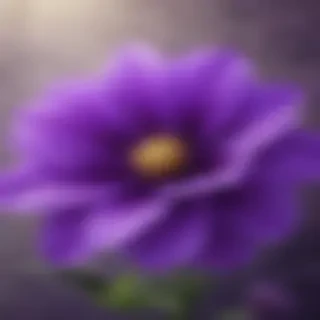 purple flower iphone wallpaper