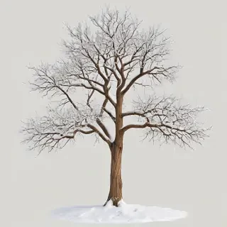 winter tree png