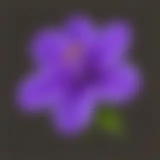 purple flower png