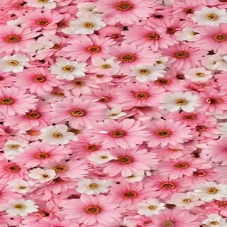 cute flower wallpaper aesthetic