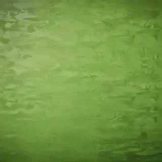 textured green background
