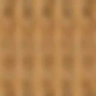 cheetah background