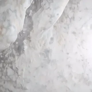 white gray background
