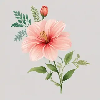 transparent background flower clipart