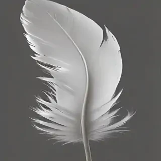 feather png