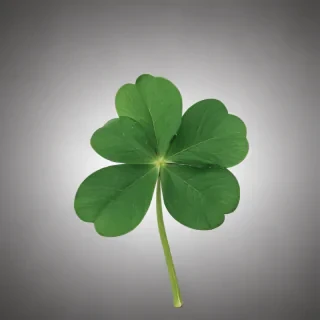 4 leaf clover png