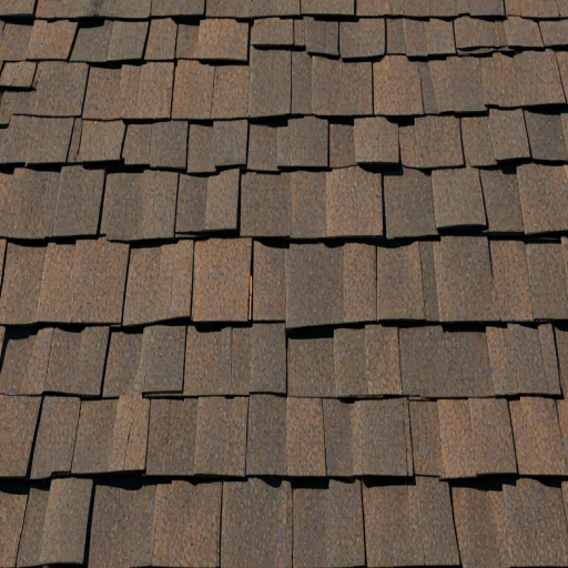 shingles images