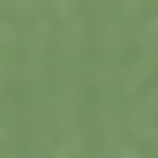 plain green bg