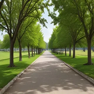 park png
