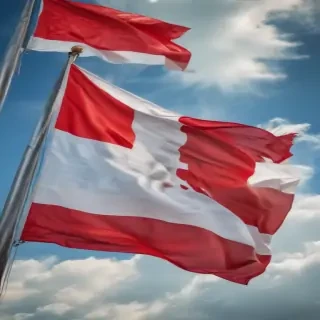 polish flag