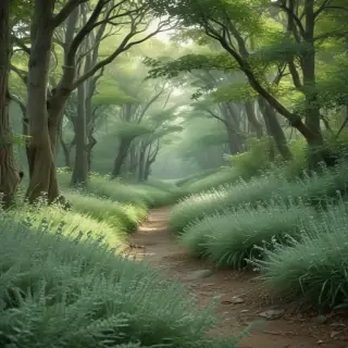 sage green photos