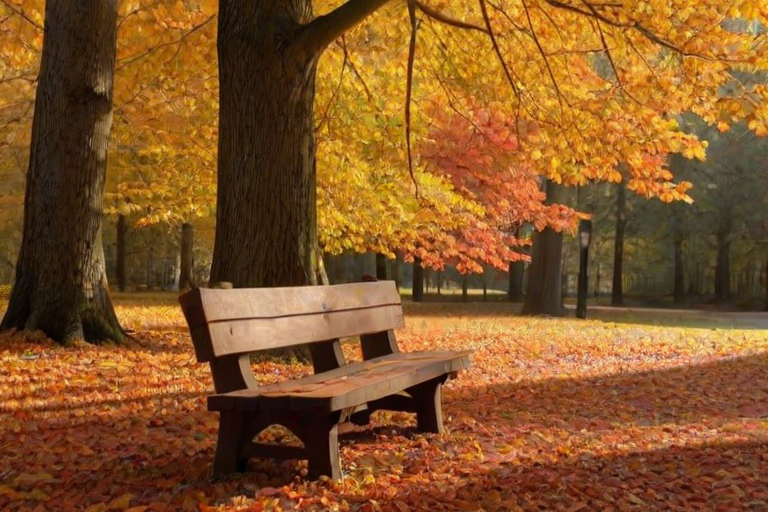 High-resolution image of an autumn forest, leaves in shades of orange, red, and gold carpeting the ground, soft sunlight filtering through the trees, a wooden bench nestled under a large oak, a slight breeze sending leaves tumbling through the air, the smell of pine and earth lingering.