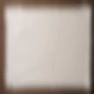 transparent background ripped paper