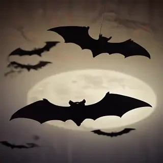 pics of halloween bats