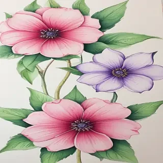 flower pictures to draw