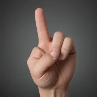 finger picture