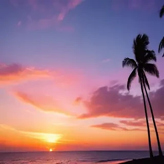 summer phone background