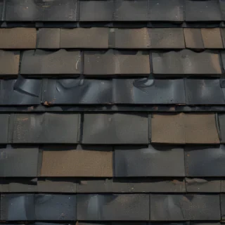 shingles images
