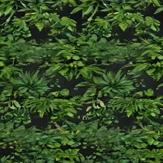 plants transparent background