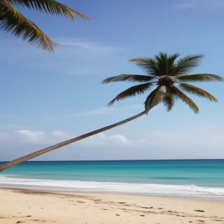beach backgrounds for phone