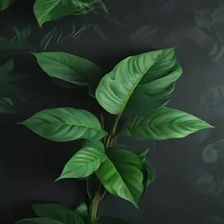 plant wallpaper iphone