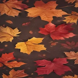 iphone fall wallpaper
