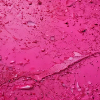 hot pink background