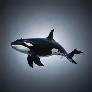 wallpaper orca