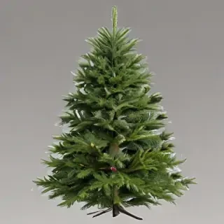 christmas trees png