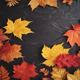 iphone cute fall wallpaper