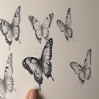 drawing butterflies
