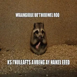 funny pictures