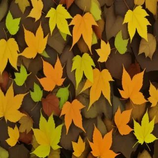 background of leaves
