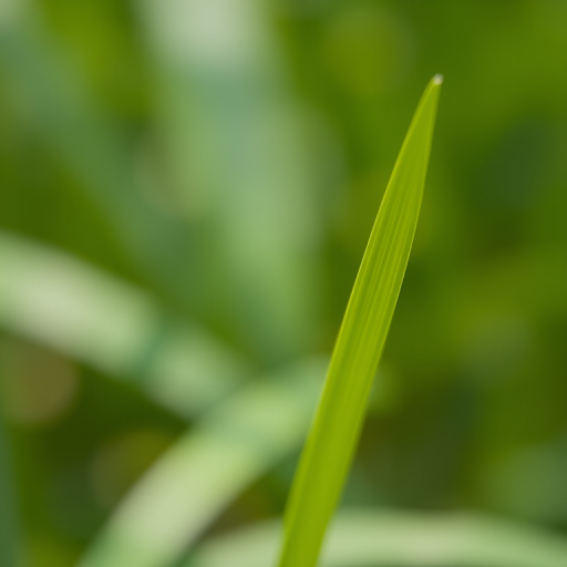 Close-up of a green grass spikelet with soft-focus background of blurred foliage, 50mm lens, f/2.8 aperture, ISO 200, natural light, macro photography.