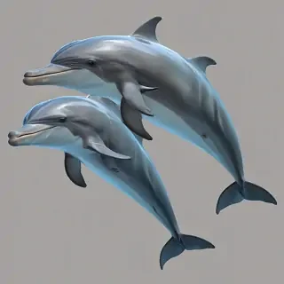 dolphins png