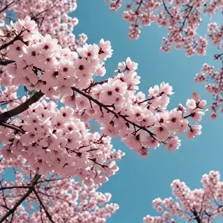 spring desktop wallpaper aesthetic
