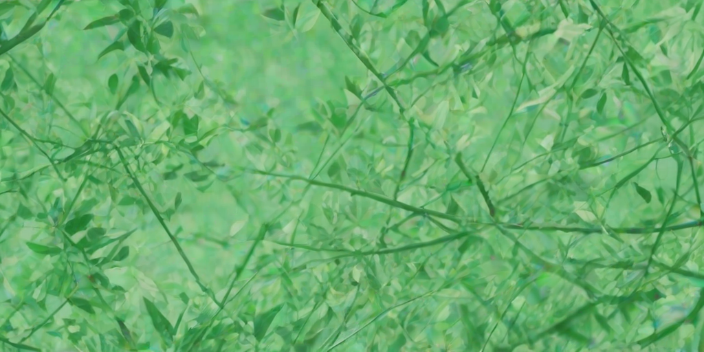 aesthetic background green