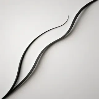 curved line png