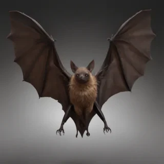 bat png