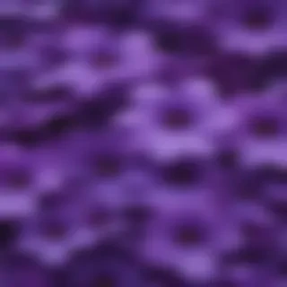 purple flowers background