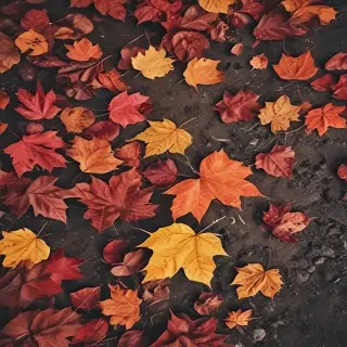 fall wallpaper for iphone