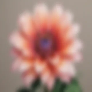 flower drawing pictures