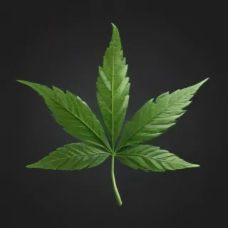 weed leaf png
