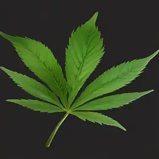 weed leaf png