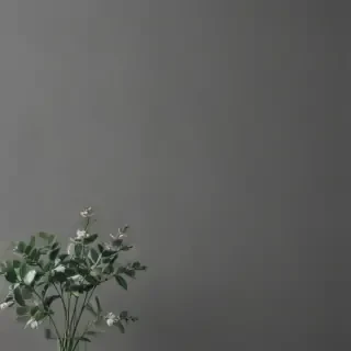 minimal aesthetic wallpaper