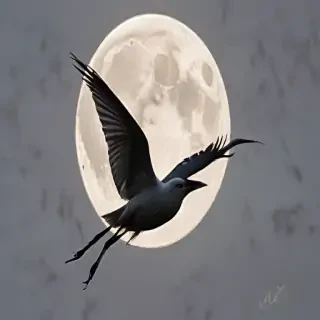 moon frawing
