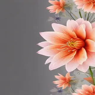flower background transparent
