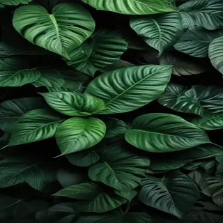 plant wallpaper
