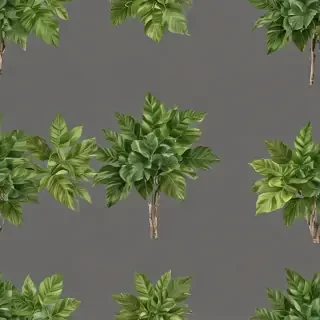 plant transparent background