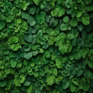 green iphone background